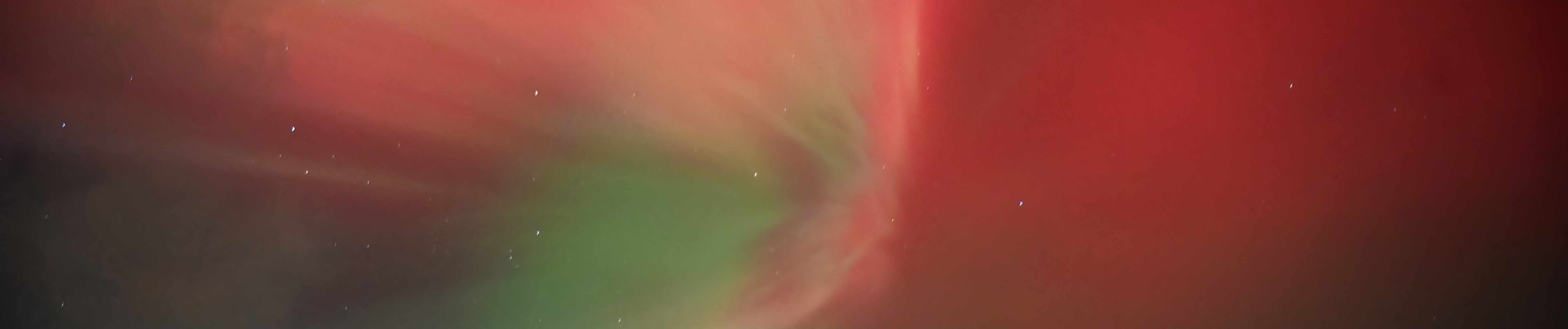 The Horsehead Nebula against a field of stars